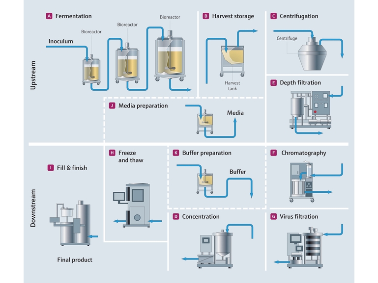 Schéma de process Single-Use