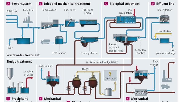 Wastewater and sludge treatment process