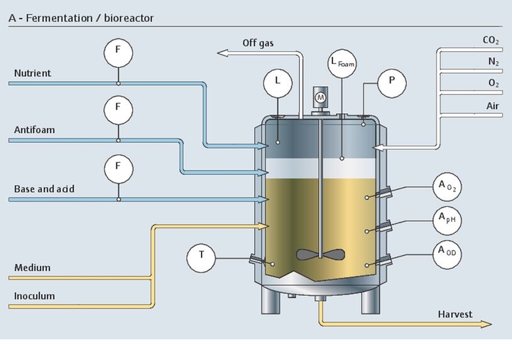Process de fermentation (upstream) dans un bioréacteur avec tous les points de mesure concernés