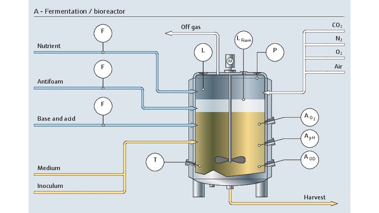 Il processo di fermentazione upstream in un bioreattore con tutti i punti di misura pertinenti