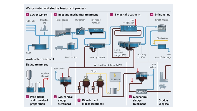 Trattamento dei fanghi nell'industria di trattamento delle acque reflue