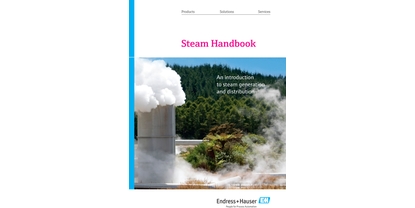 Steam Handbook - Introduzione alla generazione e distribuzione di vapore