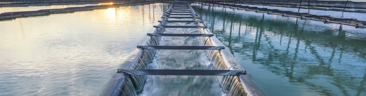 Soluzioni di processo per l'industria dell'acqua e delle acque reflue
