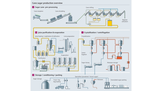 Panoramica della lavorazione dello zucchero di canna