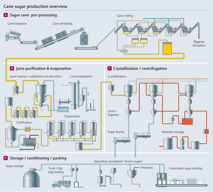 Panoramica della lavorazione dello zucchero di canna