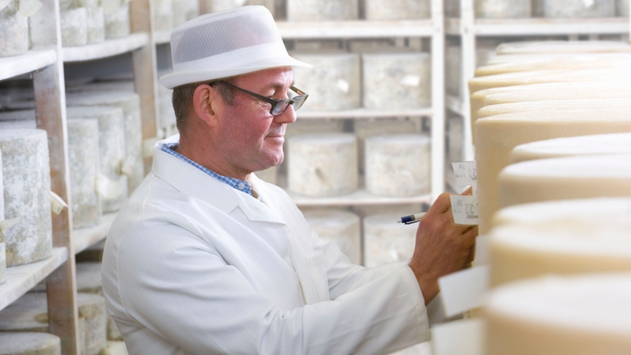 Addetto di un caseificio ispeziona la produzione di formaggio