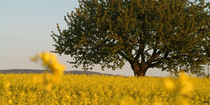 Per noi, la crescita economica va di pari passo con il pensiero ecologico e sociale.