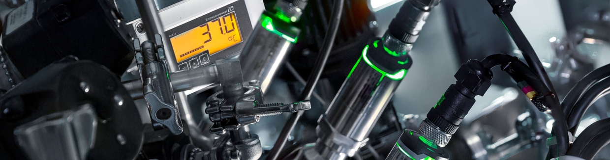 Sanitary thermometers for hygienic applications