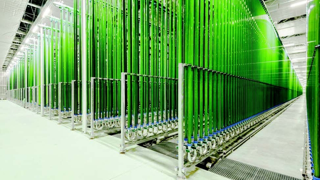 Industrielle Algenproduktion in Photo-Bioreaktoren