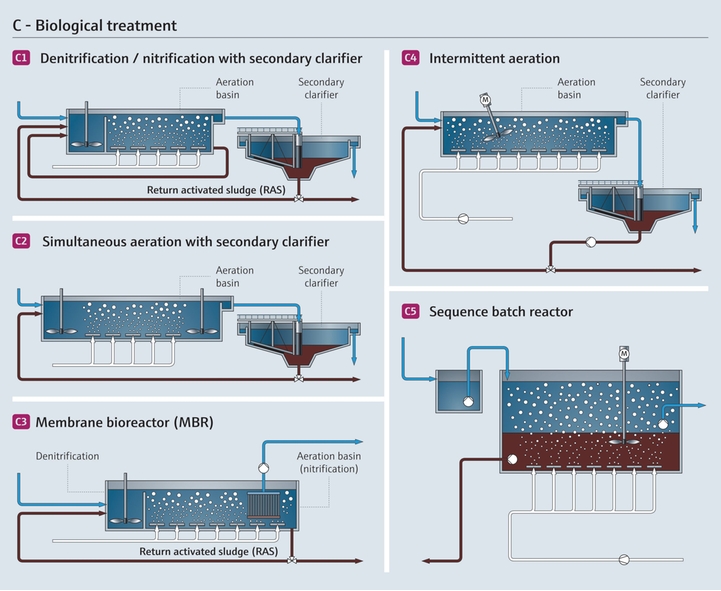 Traitement biologique des eaux usées