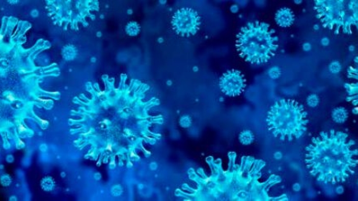 Détection du virus SARS Cov-2 dans les eaux usées pour établir des prévisions fiables