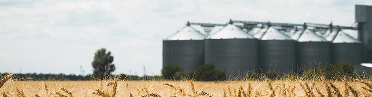 Impianto in un'azienda agricola per lo stoccaggio di prodotti alimentari in sili e serbatoi per prodotti sfusi