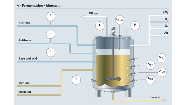 Fermentation in einem Bioreaktor und die zugehörigen Messstellen