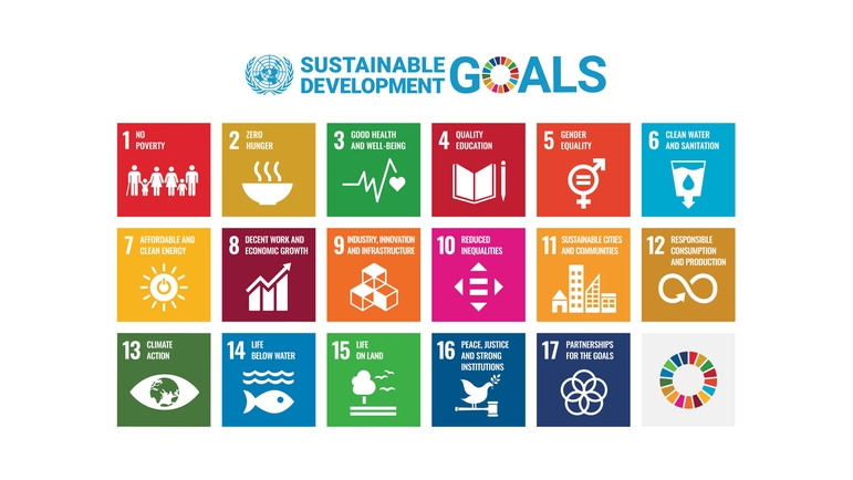 Die 17 Ziele der Vereinten Nationen für nachhaltige Entwicklung